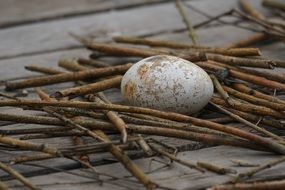 Egg Scrim Nest