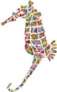 colorful silhouette of seahorse