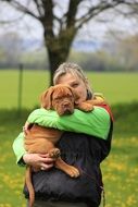 bordeaux dog puppy with his owner