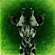 portrait of a giraffe in green colors