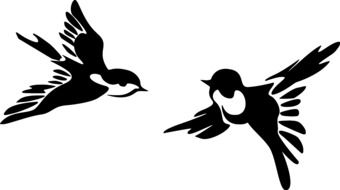 graphic image of two birds in flight