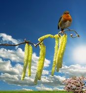 Bird on the blossoming tree in spring