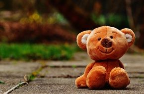red teddy bear sits outdoor