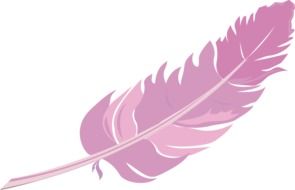 Spring Pink feather drawing