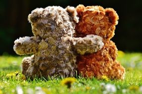 two bears sitting on the green grass symbolize friendship