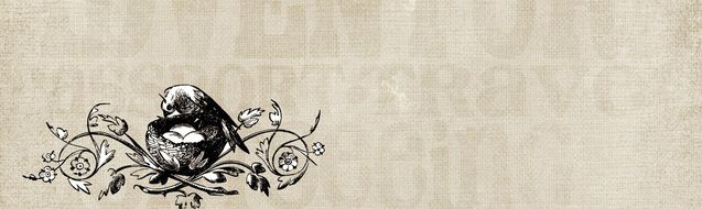 vintage clipart of the Bird in a nest