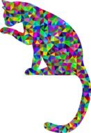 color picture of a cat