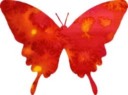 Red colorful Butterfly Watercolor Clipart