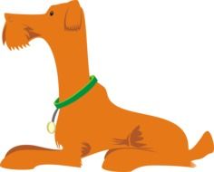 painted orange dog