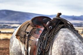 colorful cowboy Saddle on Horse back