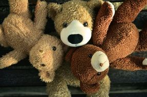 teddy bears of different colors