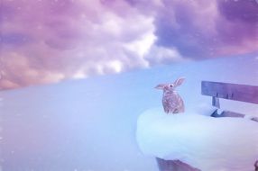 Bunny on a bench in the clouds drawing