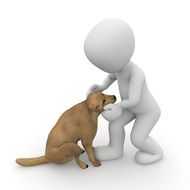 walking with a dog as a 3d model