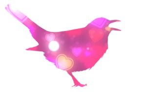 pink bird silhouette
