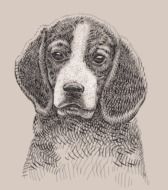 clipart portrait of young Dog