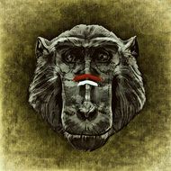 creative portrait of a monkey