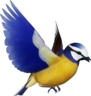 blue yellow bird drawing