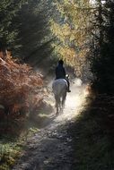 recreation with horse riding