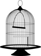 empty birdcage