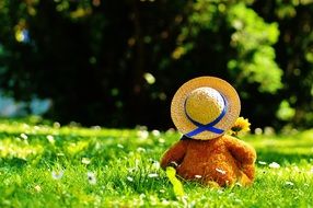 teddy bear in hat sits on green grass