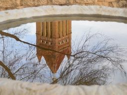reflections of a building in a bird cup