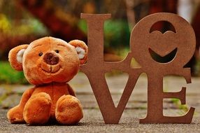 soft teddy bear near the word "love"