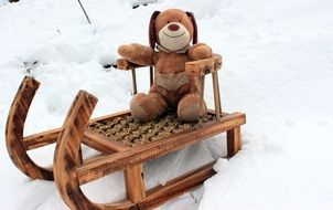 teddy bear in sled