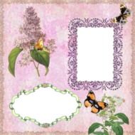 vintage card with the image of lilac and butterflies