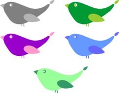 drawings of birds of different colors on a white background