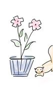 painted potted flower and kitten
