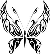 black and white drawing of a butterfly