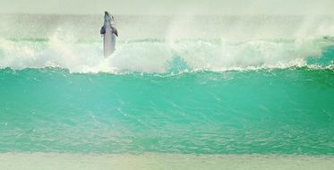 dolphin jumping in waves