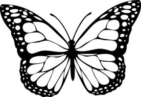 black and white graphic image of a butterfly in detail