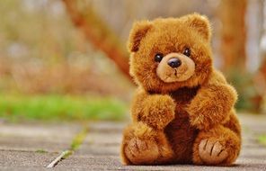 brown toy bear on a trail