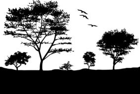birds over the trees as an illustration