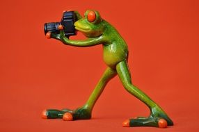 funny frog photographer