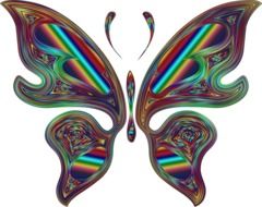 abstract chromatic butterfly