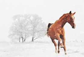 running horse in winter
