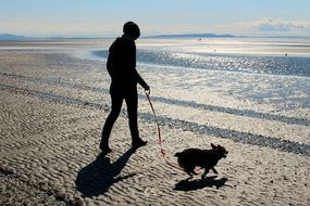 woman with Corgi Dog on the beach