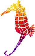 seahorse as colorful pattern