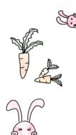 drawings of rabbits and carrots