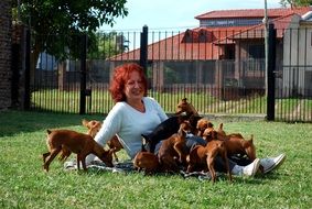 kind woman surrounded by dogs,Argentina