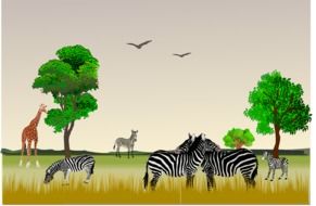 african Animals in savanna, illustration