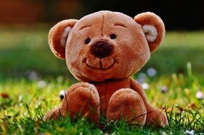 Brown and white teddy bear on a green grass with colorful flowers