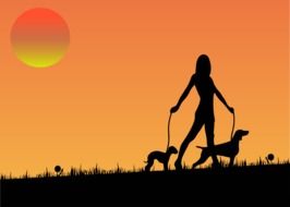 silhouette of a girl walking with two dogs at sunset