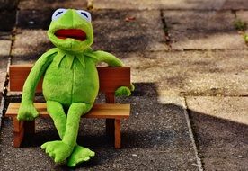 green frog sitting on a brown bench in the park