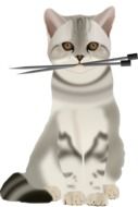 Cat with Spokes drawing