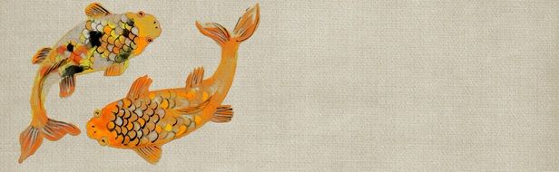 Gold fishes