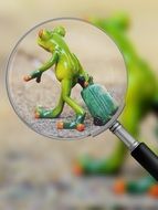 Photo of toy frog through a magnifying glass