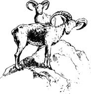 drawing of the sheeps on a mountain